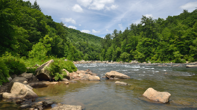 Youghiogheny River in Ohiopyle State Park