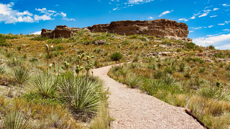 The Daemonelix Trail in Agate Fossil Beds National Monument, Nebraska