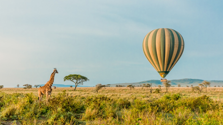 Hot air balloon over Serengeti