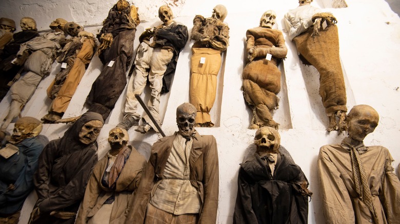 Mummies at Capuchin Catacomb