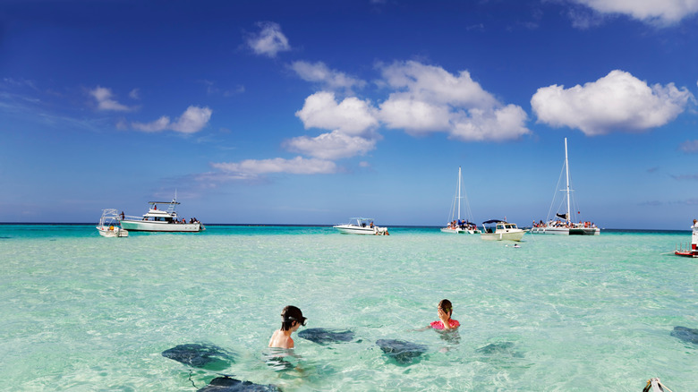 Kids swimming with stingrays in Grand Cayman
