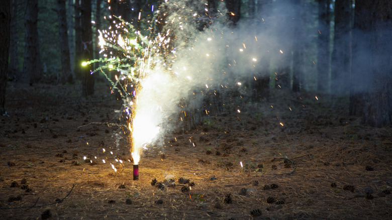A fountain-style firework in the woods