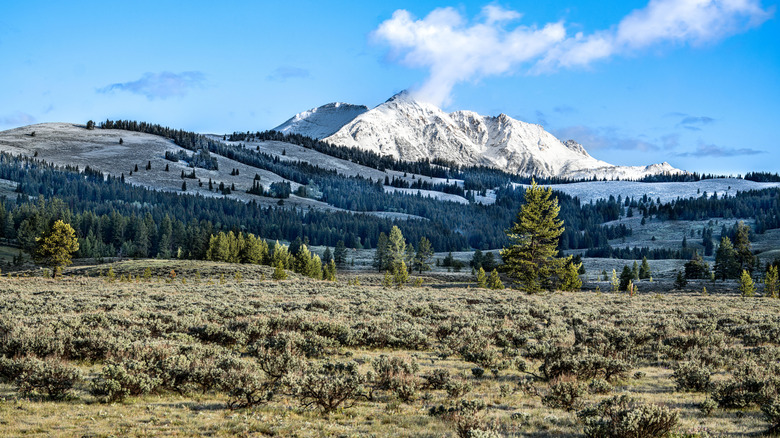 Snow-capped mountains in Yellowstone National Park