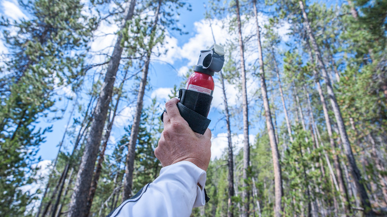 A person holds up a can of bear spray in front of some trees