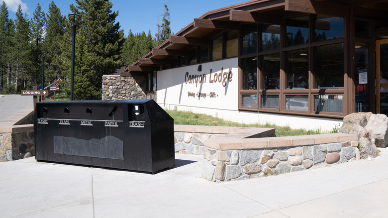 Canyon Lodge in Yellowstone National Park with a row of wildlife-resistant trash cans