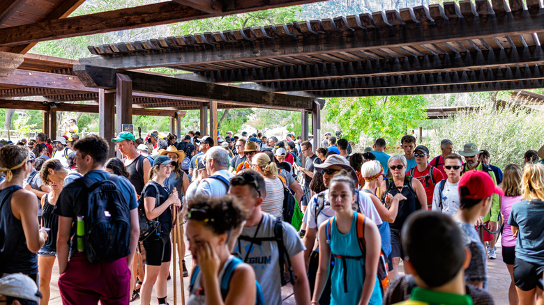 Dozens of tourists crowd at the Zion National Park visitor center in early August