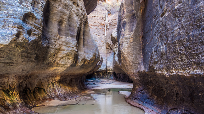 Inside Subway Canyon in Zion National Park