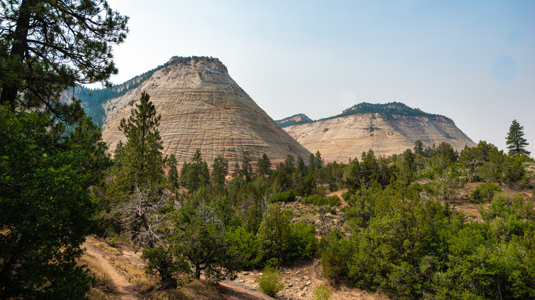 Checkerboard Mesa in Zion National Park in Utah
