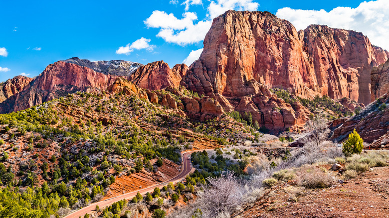 Elevated view of the landscape of Kolob Canyons in Zion National Park