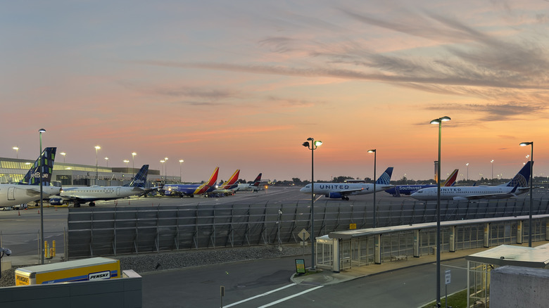 Jet planes lined up on tarmac at daybreak