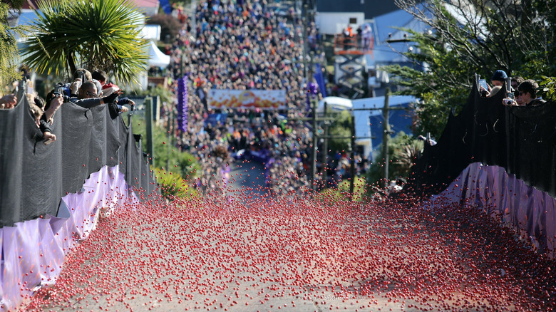 Jaffa Race in Dunedin, New Zealand