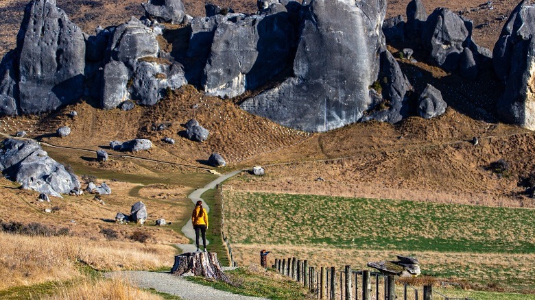 Hiker at Arthur's pass