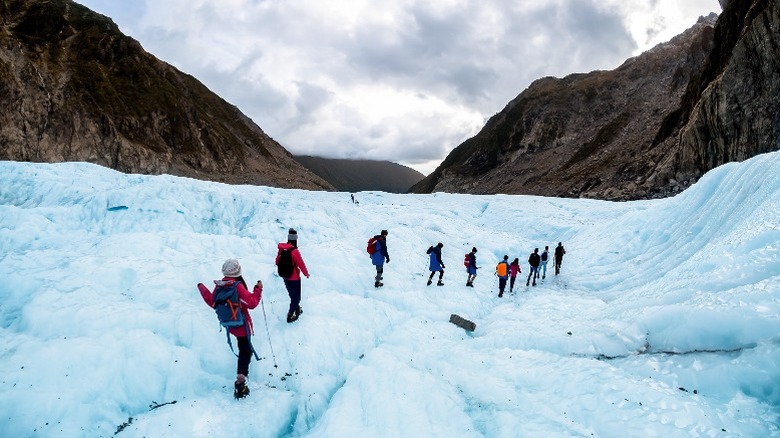 People exploring Fox and Franz Glaciers