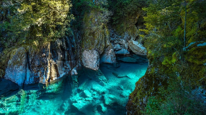 Haast pass in New Zealand