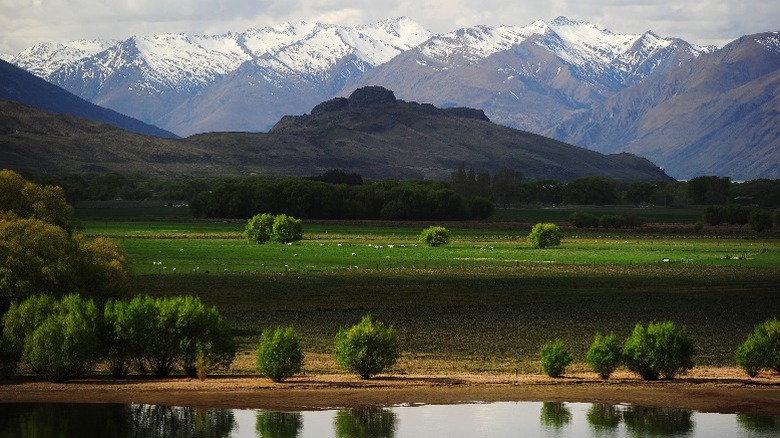 view of lake wanaka