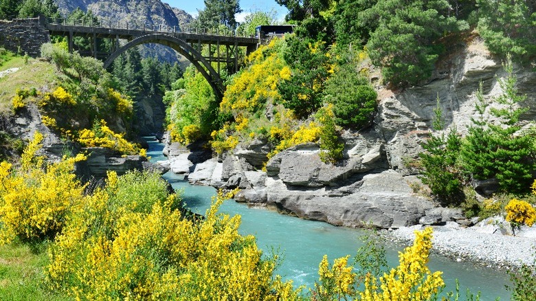 Shotover River Canyons