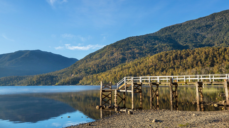 Boardwalk on the lake in the forest, Packwood Lake, Washington