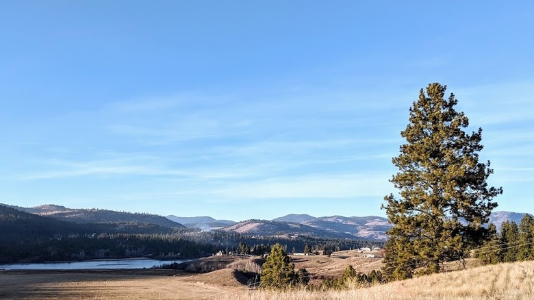 The rural Washington landscape near the town of Republic