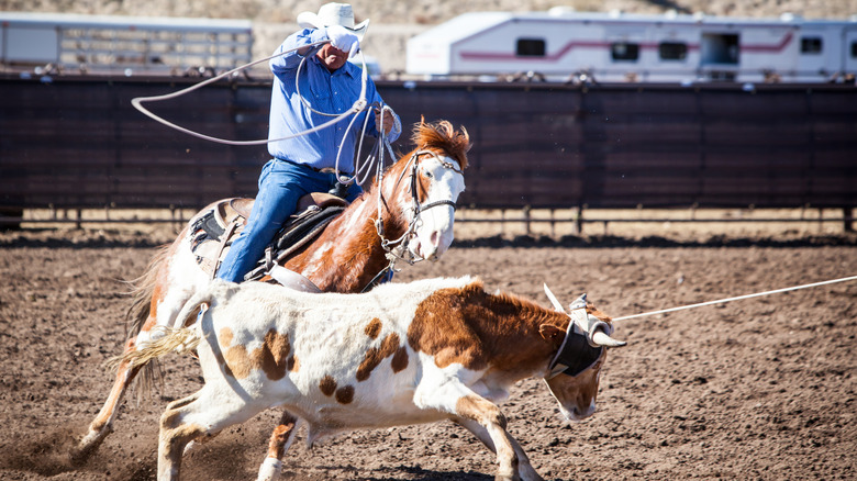 Rodeo rider in Wickenburg, Arizona