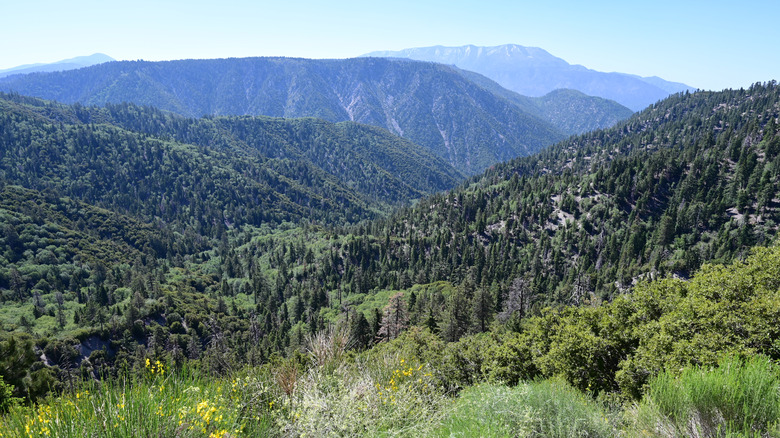 San Bernardino Mountains near Cherry Valley, California