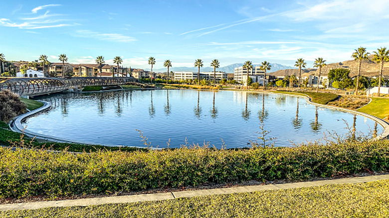 Corona California with palm trees reflective on a city pond