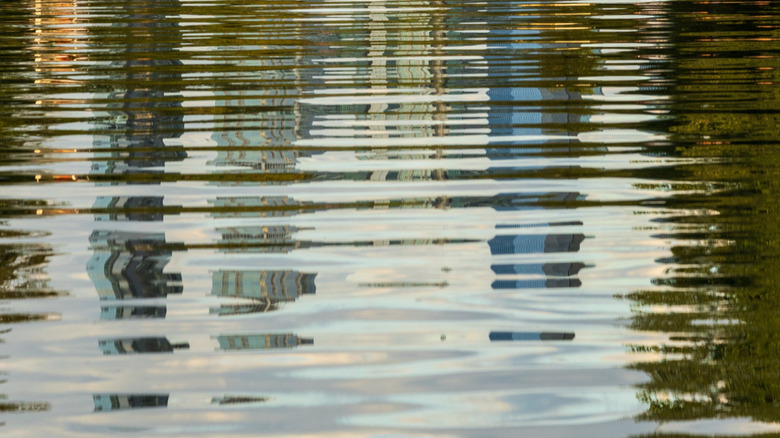 Swimmers swimming in the glistening waters at Barton Pools