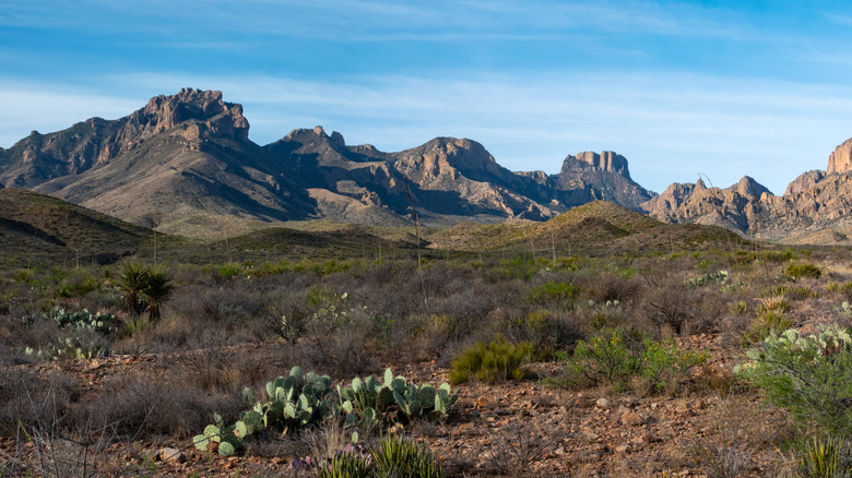Mountains in Big Bend National Park
