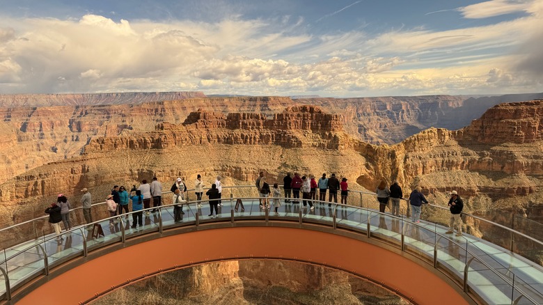 Visitors taking in the view of the Grand Canyon
