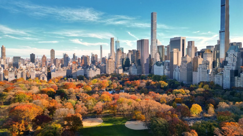 New York City Central Park during fall