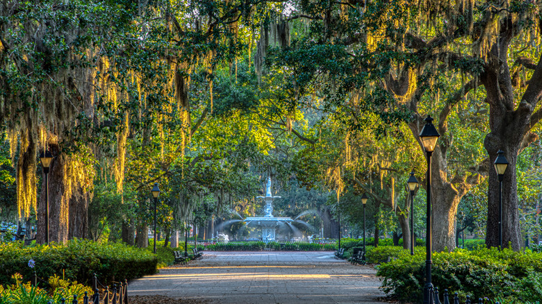 Spanish moss leading to fountain in Savannah, Georgia