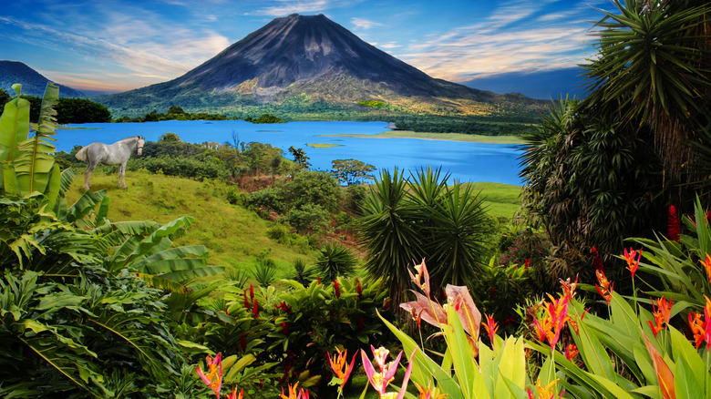 Tropical landscape with Costa Rica's Arenal Volcano in the background