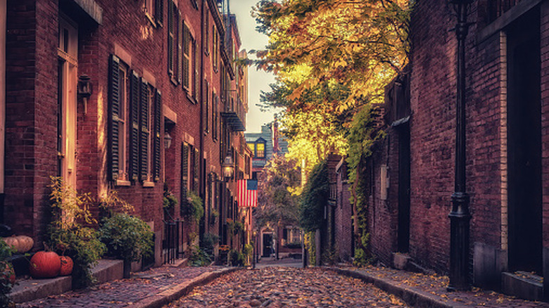 Cobblestone on Acorn Street in Boston, Massachusetts