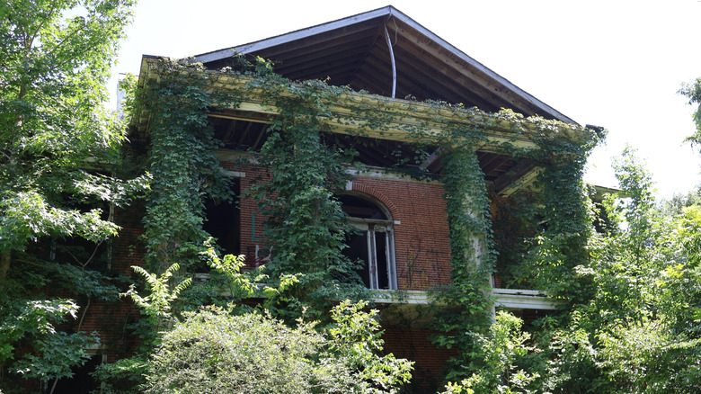 Exterior of Arlington Estate facade