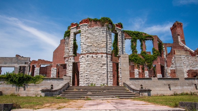 Ruins of Dungeness Mansion
