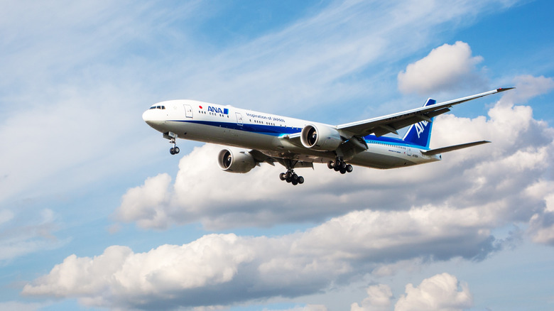 View of ANA plane in the air