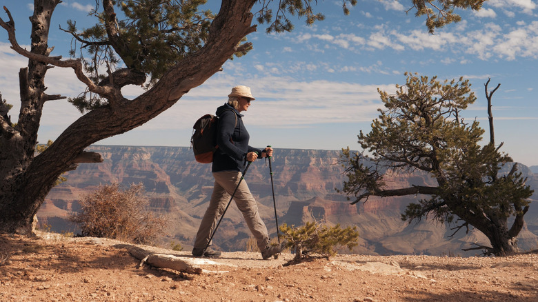 Active fat mature woman hiker with trekking poles and backpack along the Grand Canyon's South Rim