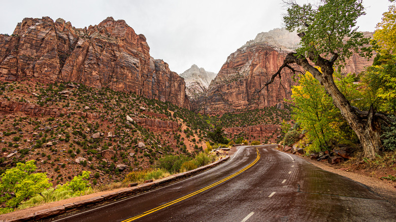 The view from Zion Canyon Scenic Drive on a cold and misty autumn day at Zion National Park