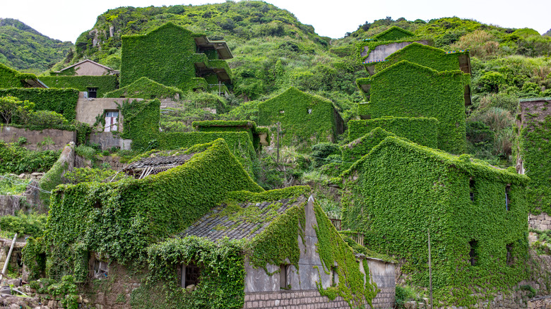 Buildings covered in greenery in Houtouwan
