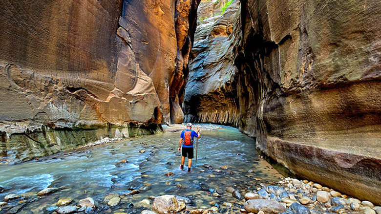 A hiker walks through the water in The Narrows, Zion National Park, Utah
