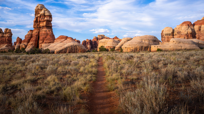 A hiking trail in the Needles district of Canyonlands National Park