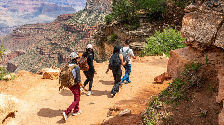 A group of four friends hike the Bright Angel Trail in Grand Canyon National Park, Arizona