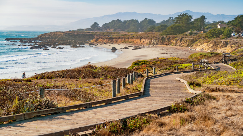 Coastline with boardwalk at Moonstone Beach in Cambria, California