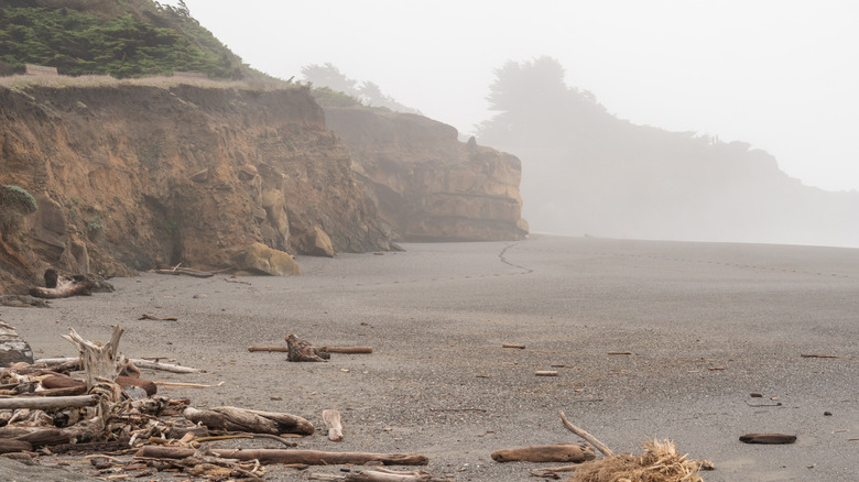 Foggy coastal cliffs and the beach of Gualala Point Regional Park, California