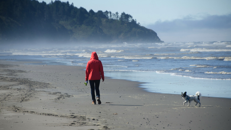 A person walks along a sandy beach in Seaview on the Long Beach Peninsula, Washington