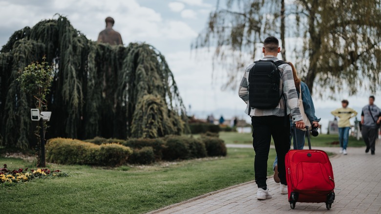 Sightseers from airport with luggage