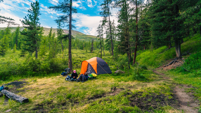 A couple camping in a natural area along a trail
