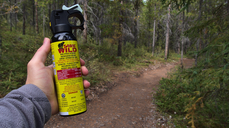 A hiker holds a can of bear spray in the woods