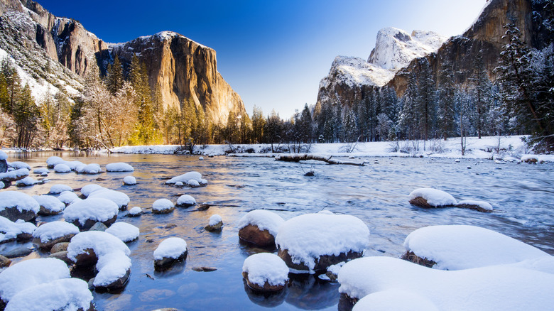 Yosemite National Park in winter with snow on the ground