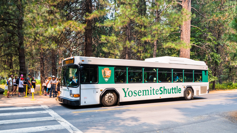 A Yosemite Shuttle bus