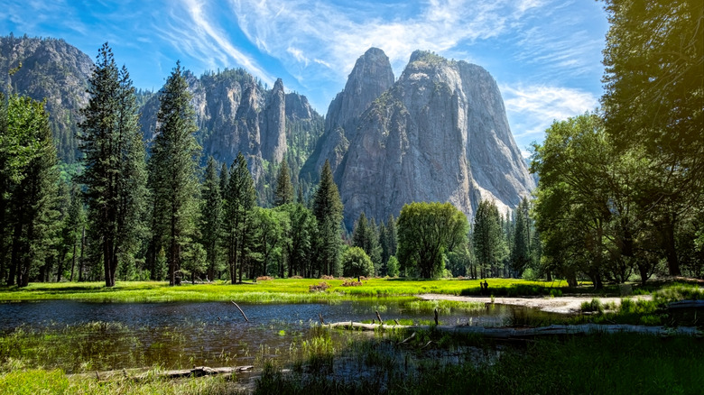 A beautiful summer day in Yosemite Valley, Yosemite National Park, California
